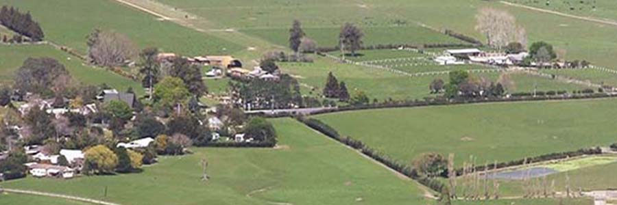 Clevedon Scenic Reserve Walk