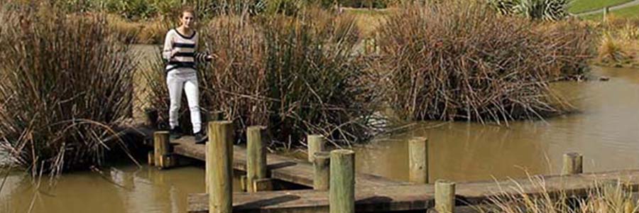 Manawa Wetlands Walk