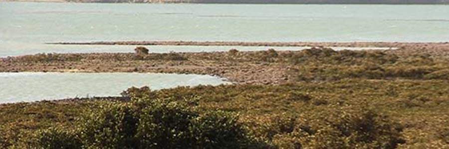 Meola Reef Walk