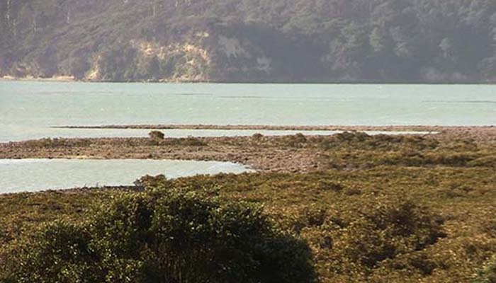 Meola Reef Walk