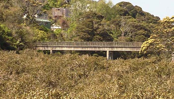Moire Park Walk