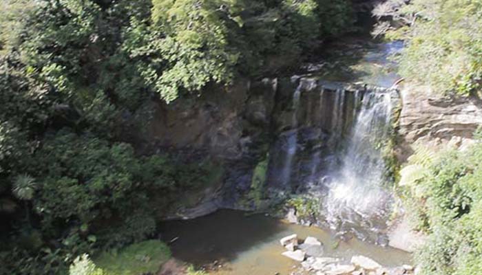 Mokoroa Falls Walk