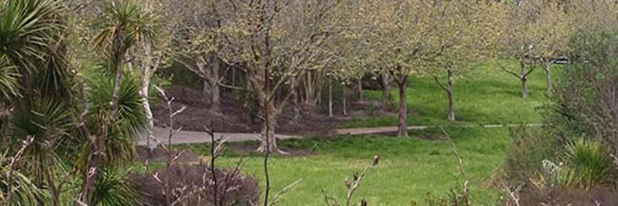 Northboro Reserve Walk