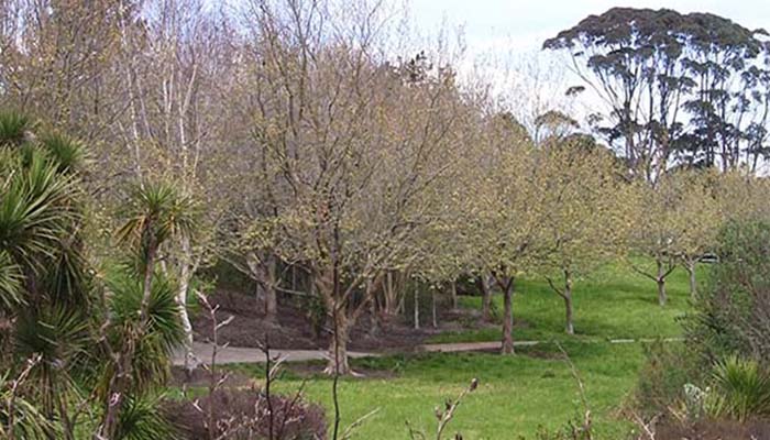 Northboro Reserve Walk