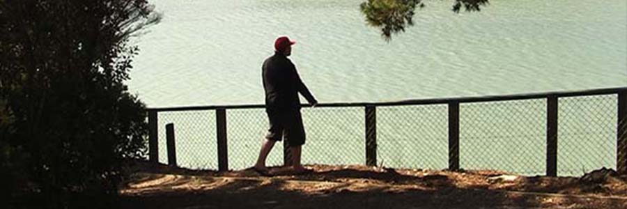 Shepherds Park Walk