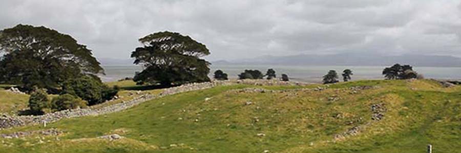 Otuataua Stonefields Walk