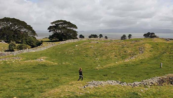 Otuataua Stonefields Walk