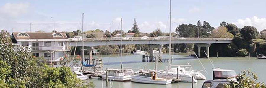 Tamaki River Bridges Walk